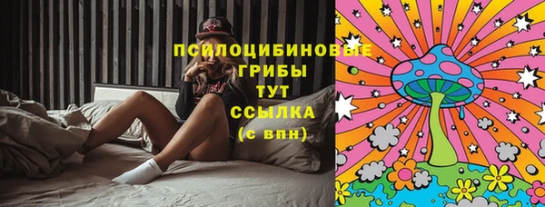 крисы Переславль-Залесский